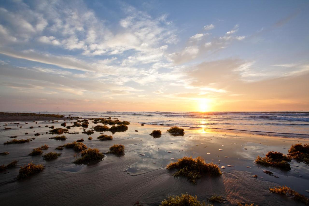 Island Serenity South Padre Island Exteriér fotografie
