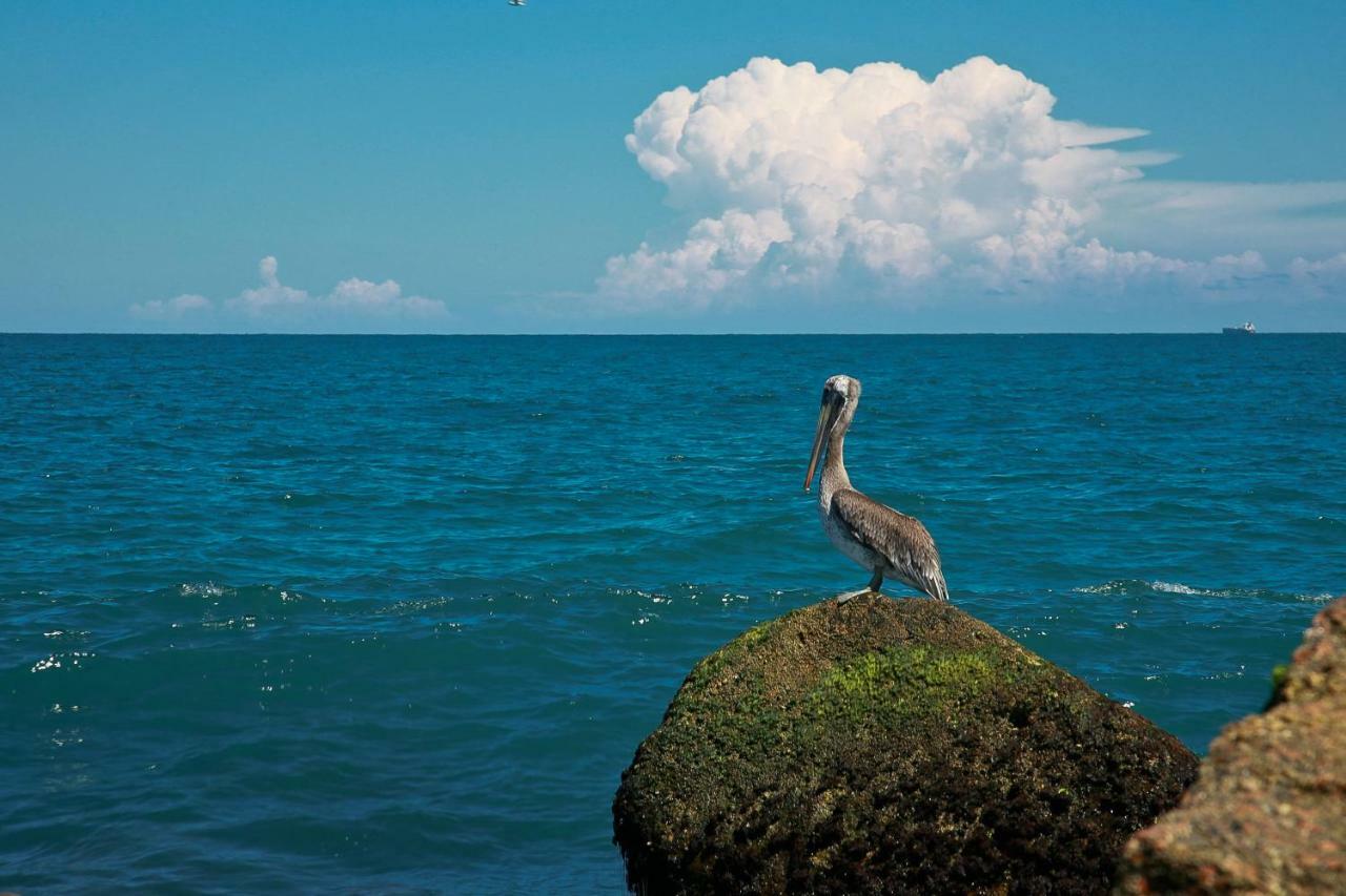 Island Serenity South Padre Island Exteriér fotografie